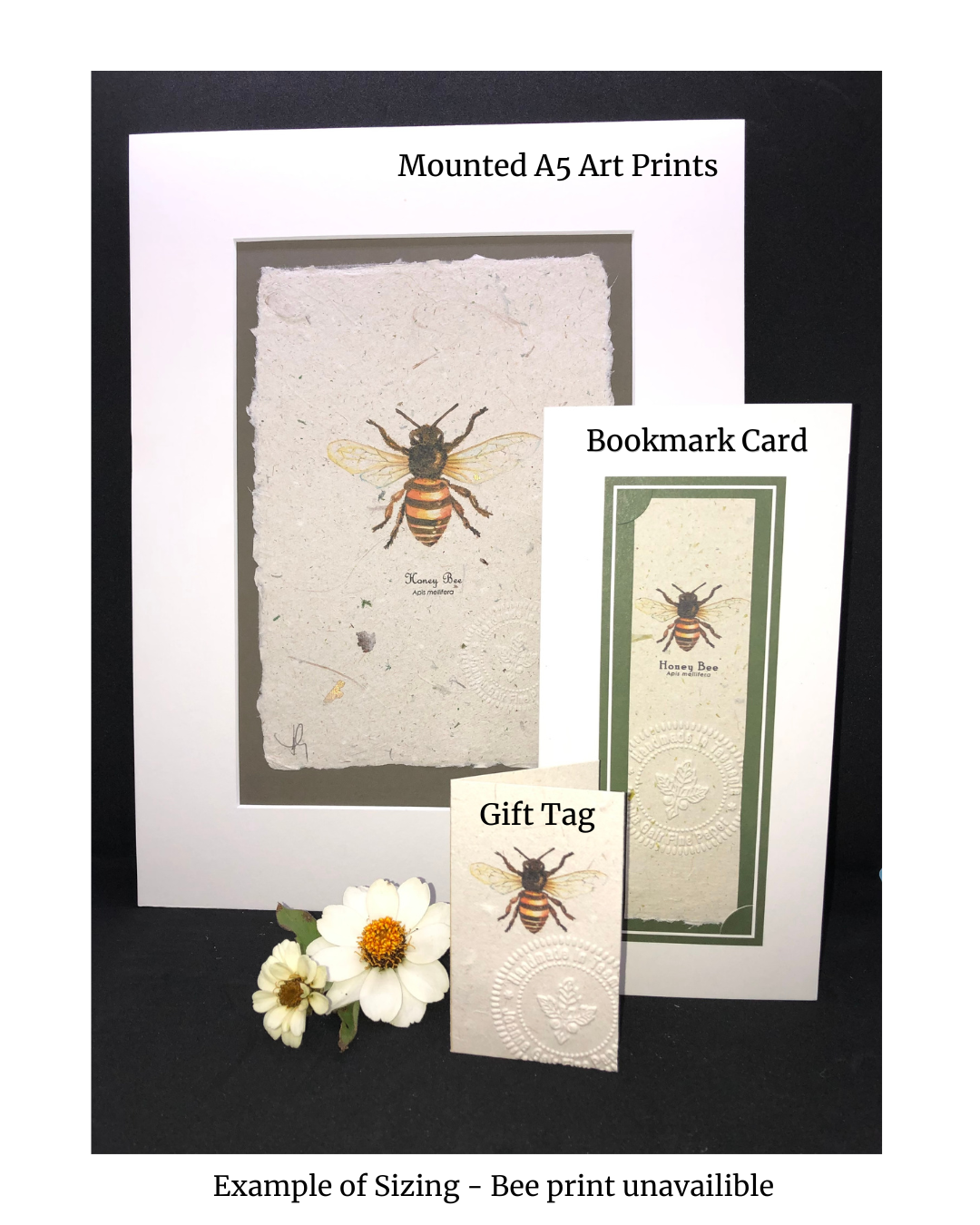 Tasmanian Hemp Paper - Greeting Cards and Prints
