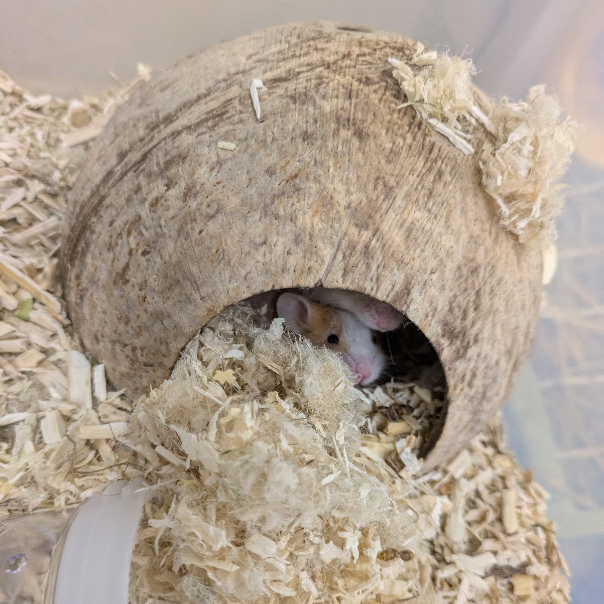 Small Pet Hemp Bedding