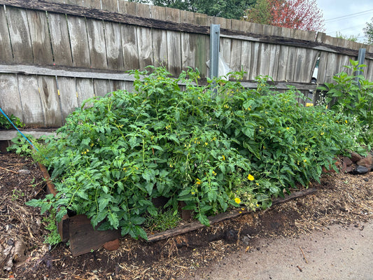 Hemp Gardening Mulch