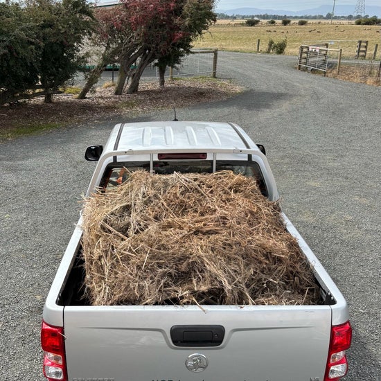Hemp Straw