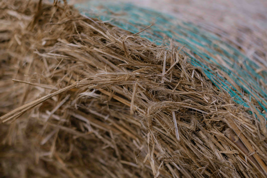 Hemp Straw