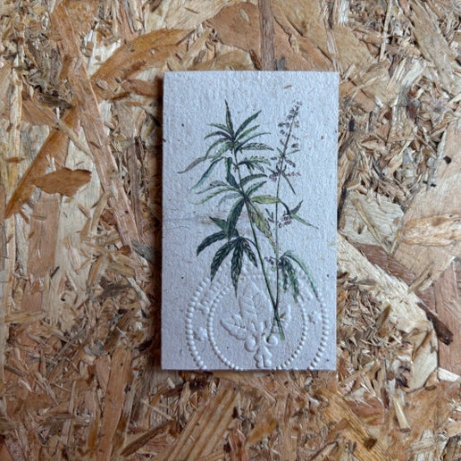 Handmade Hemp Paper - Joanna Gair