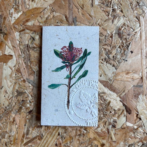 Tasmanian Hemp Paper - Greeting Cards and Prints