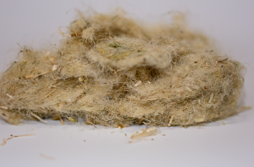 Hemp Bast