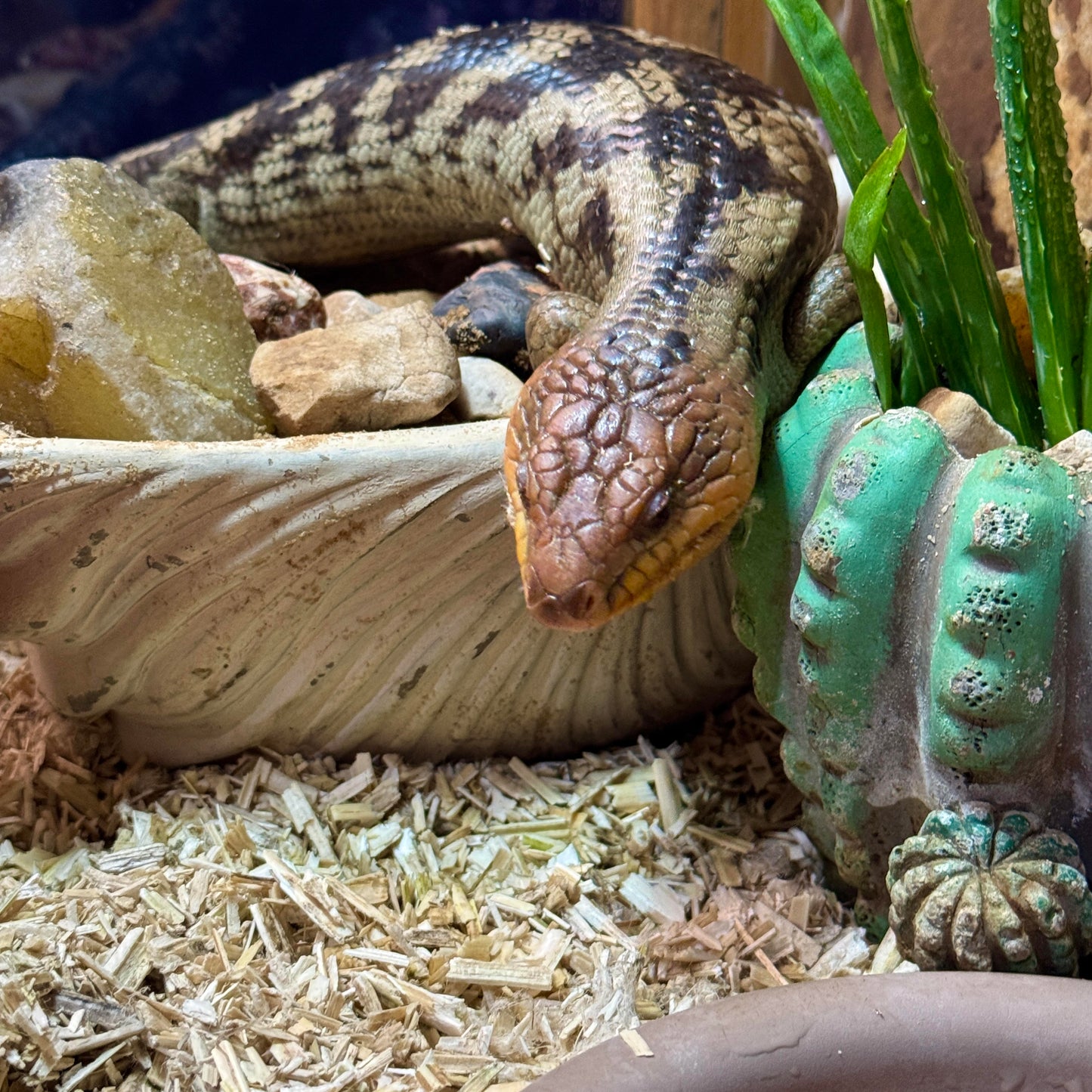 Reptile Hemp Bedding
