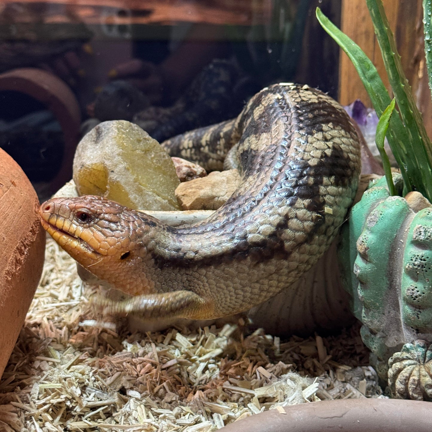 Reptile Hemp Bedding